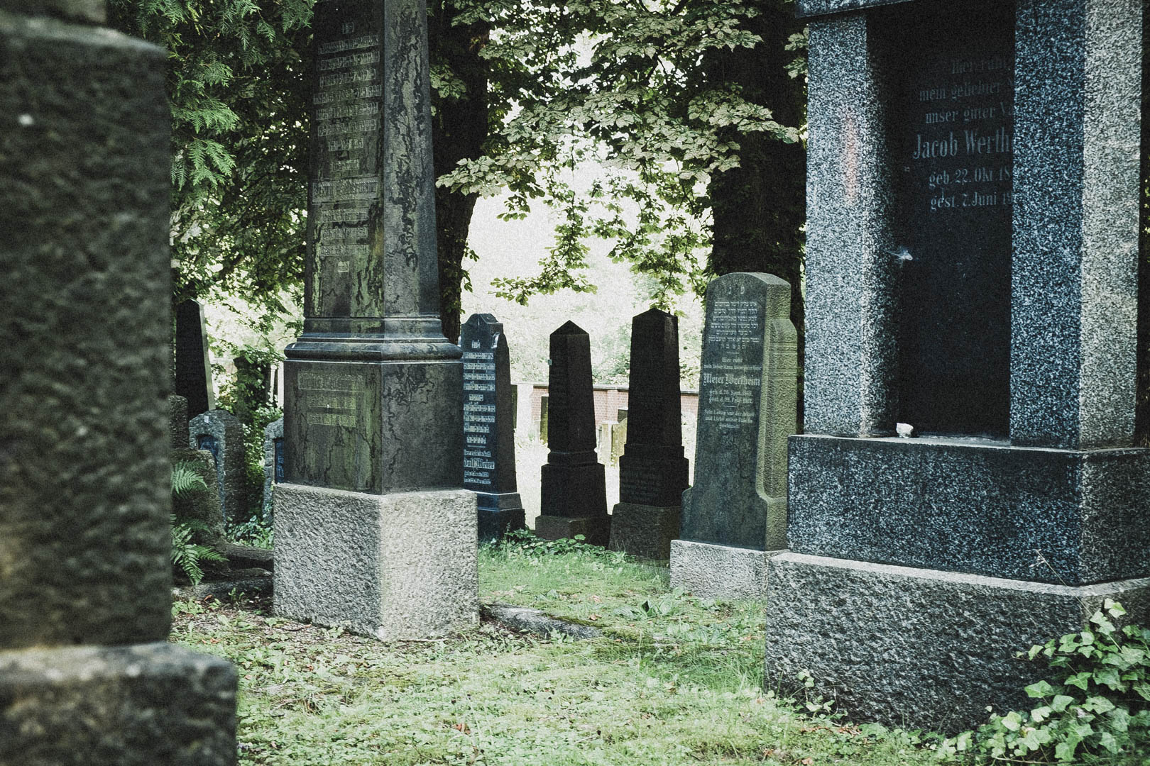 Jüdischer Friedhof Kassel-Bettenhausen